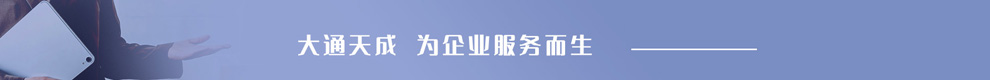 大通天成，為企業(yè)服務(wù)而生。