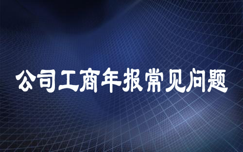 公司工商年報