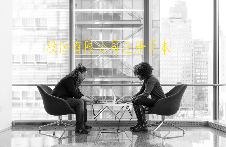 股份有限公司注冊資本