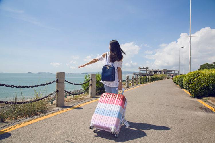 旅行社業務經營許可證