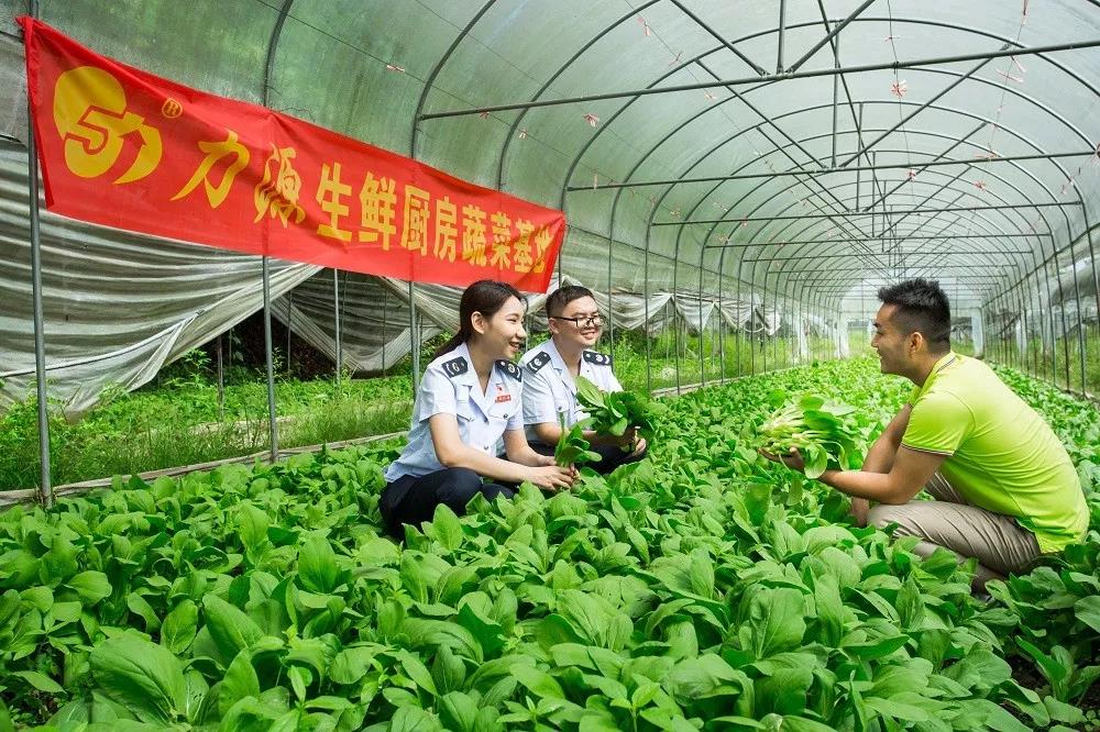 減稅降費政策措施落地實施