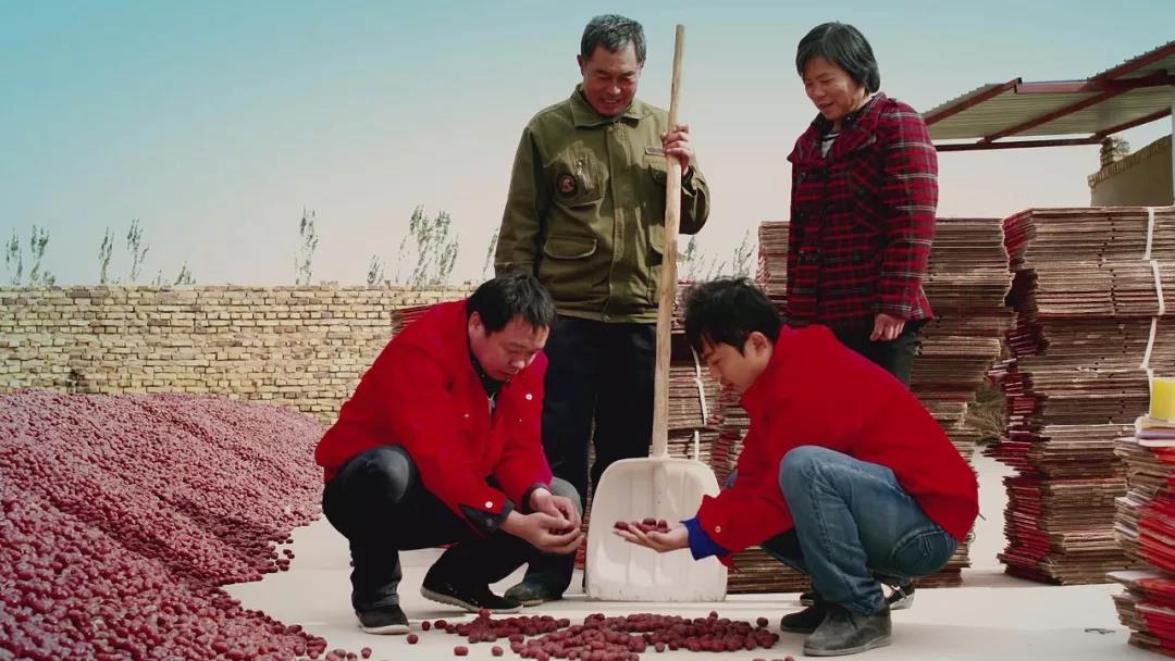 減稅降費政策措施落地實施