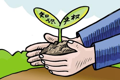 2020年起,國外這些知識產權新規將施行