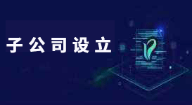 子公司設立流程,子公司設立條件