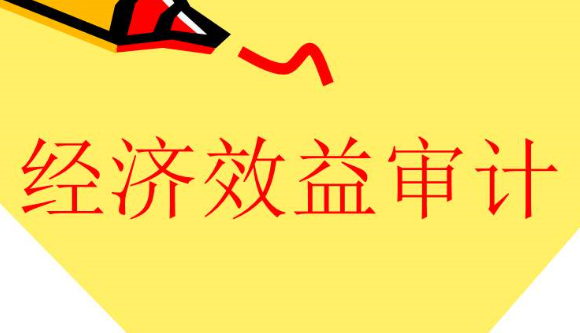 什么是經濟效益審計，有何特點？