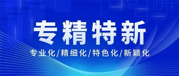 2024年(最新)國家級專精特新小巨人企業申報條件詳細解析